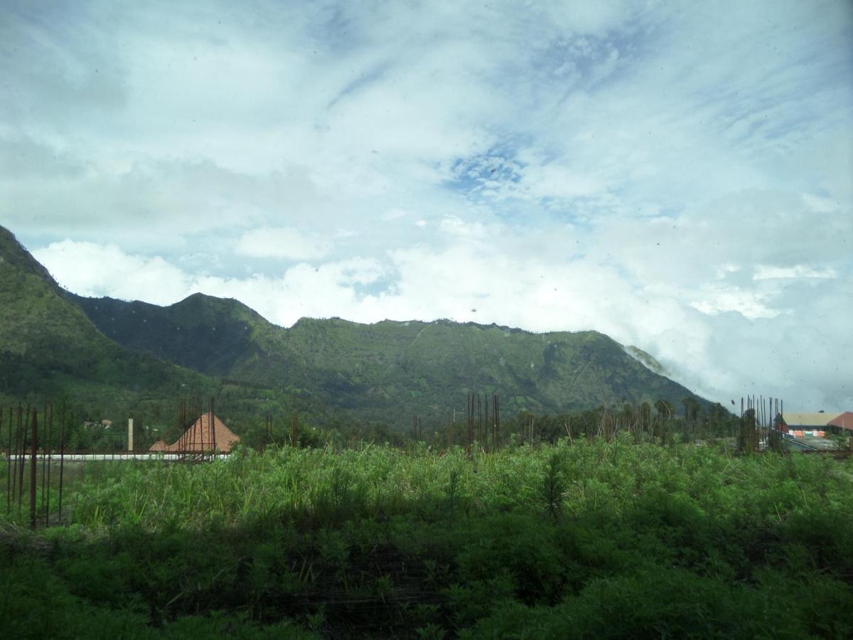 Отель Bromo Permai 1 Экстерьер фото