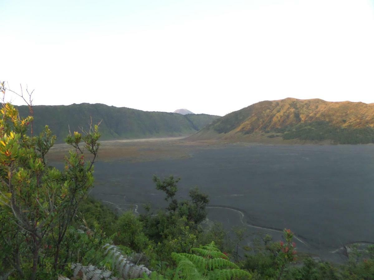 Отель Bromo Permai 1 Экстерьер фото